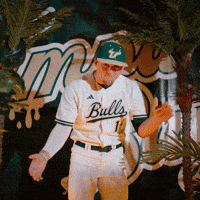 South Florida Baseball GIF by USF Athletics
