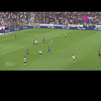 Herrera Colocolo GIF