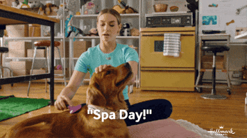 Dog GIF by Hallmark Channel