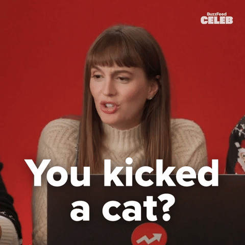 You kicked a cat?