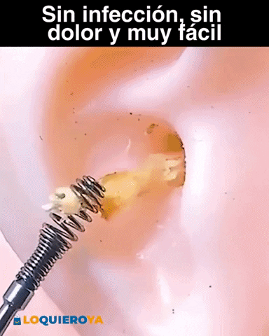 mayramianleyton giphyupload GIF