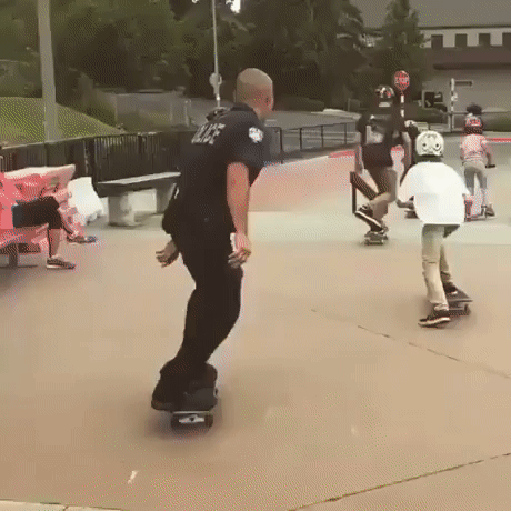 police chase GIF