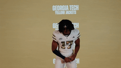 Georgia Tech Football Sport GIF by Georgia Tech Yellow Jackets