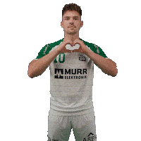 Handball Froehlich Sticker by DAIKIN HBL