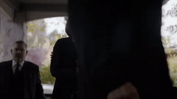 audience network GIF by Ice on Audience