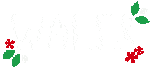 North Wales Uk Sticker