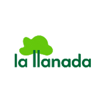 Arbol Contigosiempre Sticker by Camp La Llanada