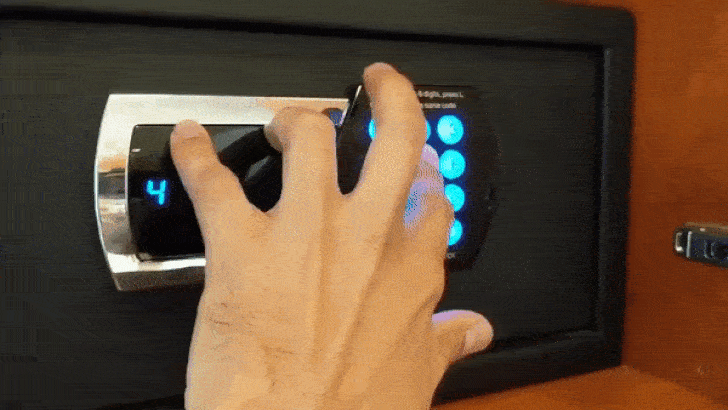 papataci giphyupload GIF