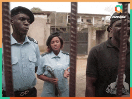 Cops Noir GIF by adamant media