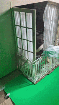 Door Window GIF by Alex Boya