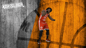 Basketball Vikings GIF by Basket_fi