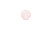 Summer Shell Sticker by Mallory Ervin