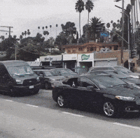 Black Metal Dog GIF by jOnNy'S wOrLd