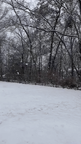 'Slushy' Snow Heralds First Day of Meteorological Winter in Michigan
