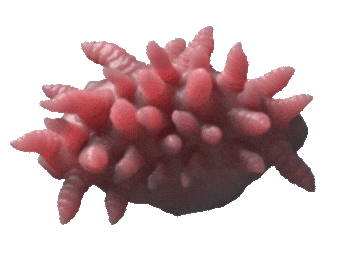 worms squiggle Sticker