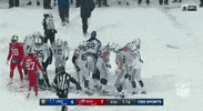 Shoveling Indianapolis Colts GIF by NFL