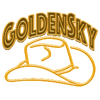 Festival Sky Sticker by DWP