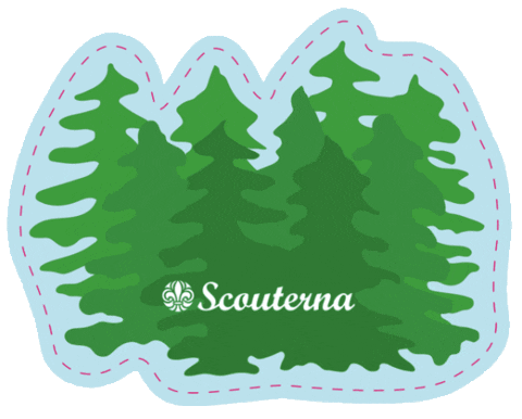 Raisedbyadventure Sticker by Scouterna