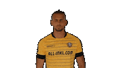 Bundesliga Posing Sticker by SG Dynamo Dresden
