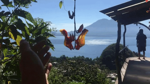FullCirclePhenomenal  GIF