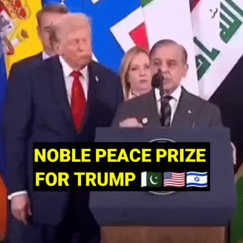 Shehbaz Sharif Trump GIF