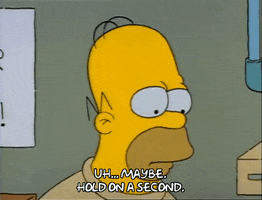 Season 1 GIF by The Simpsons