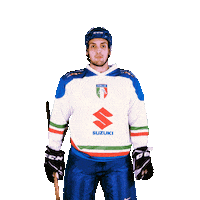 federazioneghiaccio hockey ice wintersport sportinvernali Sticker