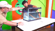 water what GIF by Guava Juice