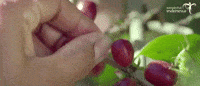 travel indonesia GIF