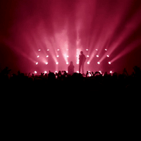 GIF by cashmerecat