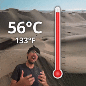 56 °C