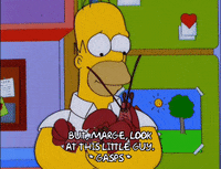 homer simpson GIF