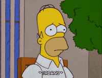 homer simpson GIF