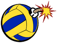 Volleyball Pdv Sticker by Problemi di Volley