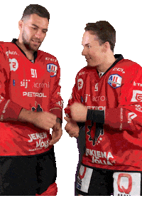 Hockey Hokej Sticker by HDD SIJ Acroni Jesenice