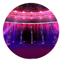 Disco Sticker by eltrecetv