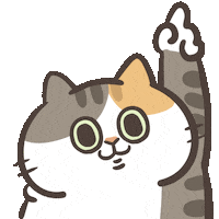 catlifesquarefish cat up catlife 上 Sticker