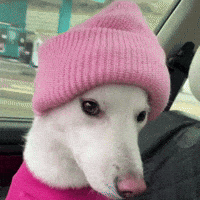 Wink GIF