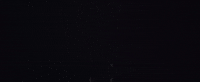goodnight mommy film GIF