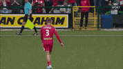 Red Army Applause GIF by Cliftonville Football Club