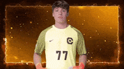 Cnms GIF by Carson-Newman Athletics
