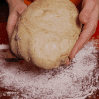 sourdoughdisco disco sourdough GIF