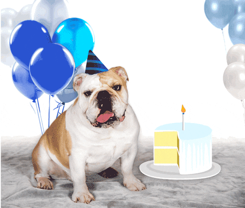 georgetownalumni giphyupload GIF