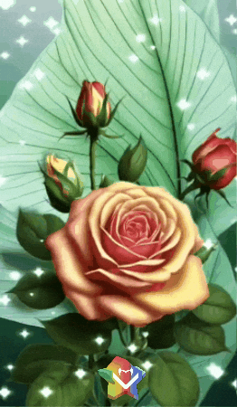 Familia Felicidad GIF by Murcianys LLC