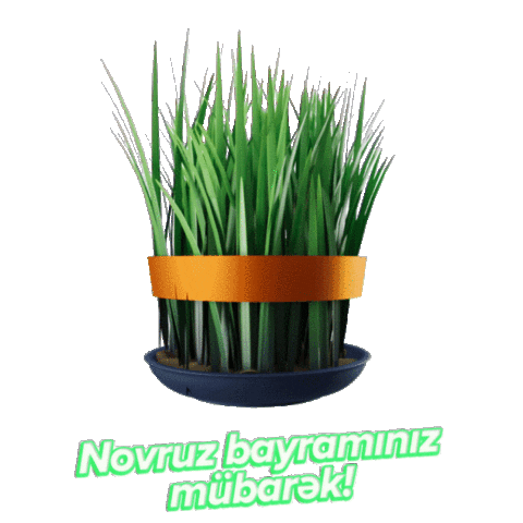 Novruz Semeni Sticker by Araz Supermarket