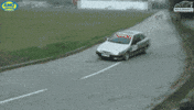 things rally GIF