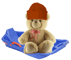 Teddy Bears Summer Sticker