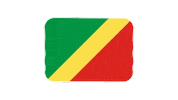 emojivid emoji flag emojivid congobrazzaville Sticker