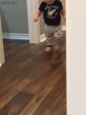 GIF by Giphy QA