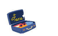 Travel Home Sticker by ARUInternational